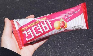 IZUM STOLJEĆA - U Južnoj Koreji postoji sladoled koji liječi mamurluk