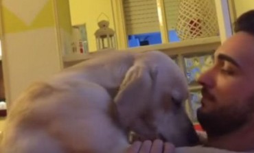 NEPROCJENJIVO: Pogledajte kako ovaj pas traži oproštaj od gazde zagrljajem (VIDEO)